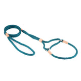 Nylon Martingale Leads (10in x 1/4in or 6mm) | Dog Leashes | pethousekh