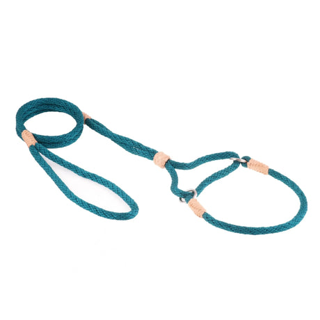 Nylon Martingale Leads (10in x 1/4in or 6mm) | Dog Leashes | pethousekh
