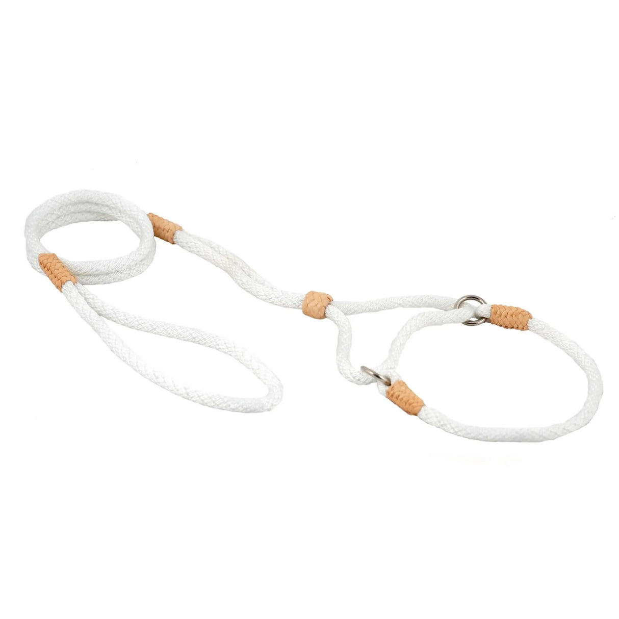 Nylon Martingale Leads (10in x 1/4in or 6mm) | Dog Leashes | pethousekh