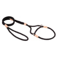 Nylon Martingale Leads (10in x 1/4in or 6mm) | Dog Leashes | pethousekh