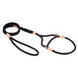 Nylon Martingale Leads (10in x 1/4in or 6mm) | Dog Leashes | pethousekh