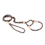 Nylon Martingale Leads (10in x 1/4in or 6mm) | Dog Leashes | pethousekh