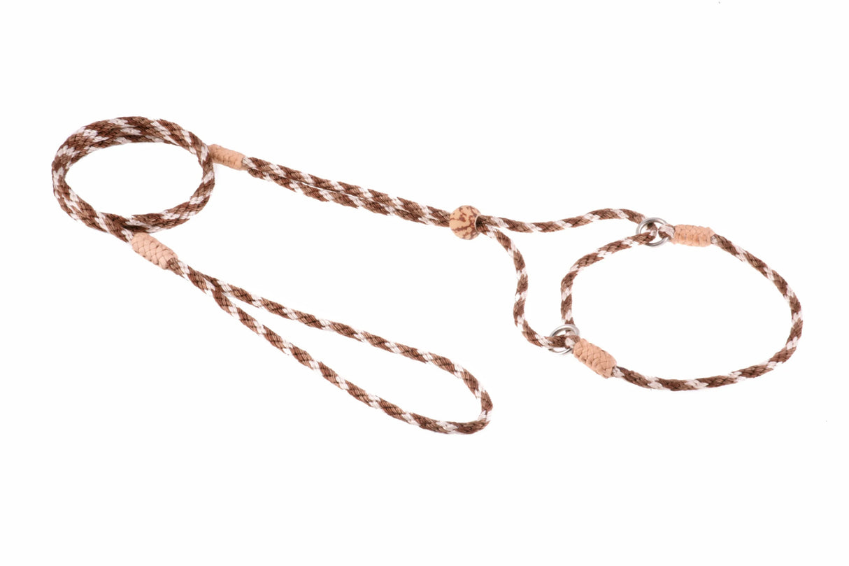 Nylon Martingale Leads (8in x 1/8in or 4mm) | Dog Leashes | pethousekh