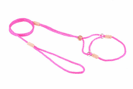 Nylon Martingale Leads (8in x 1/8in or 4mm) | Dog Leashes | pethousekh