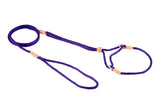 Nylon Martingale Leads (8in x 1/8in or 4mm) | Dog Leashes | pethousekh
