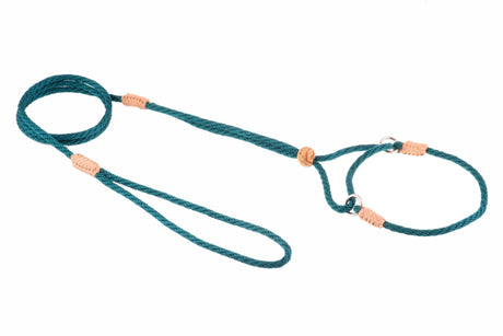 Nylon Martingale Leads (8in x 1/8in or 4mm) | Dog Leashes | pethousekh