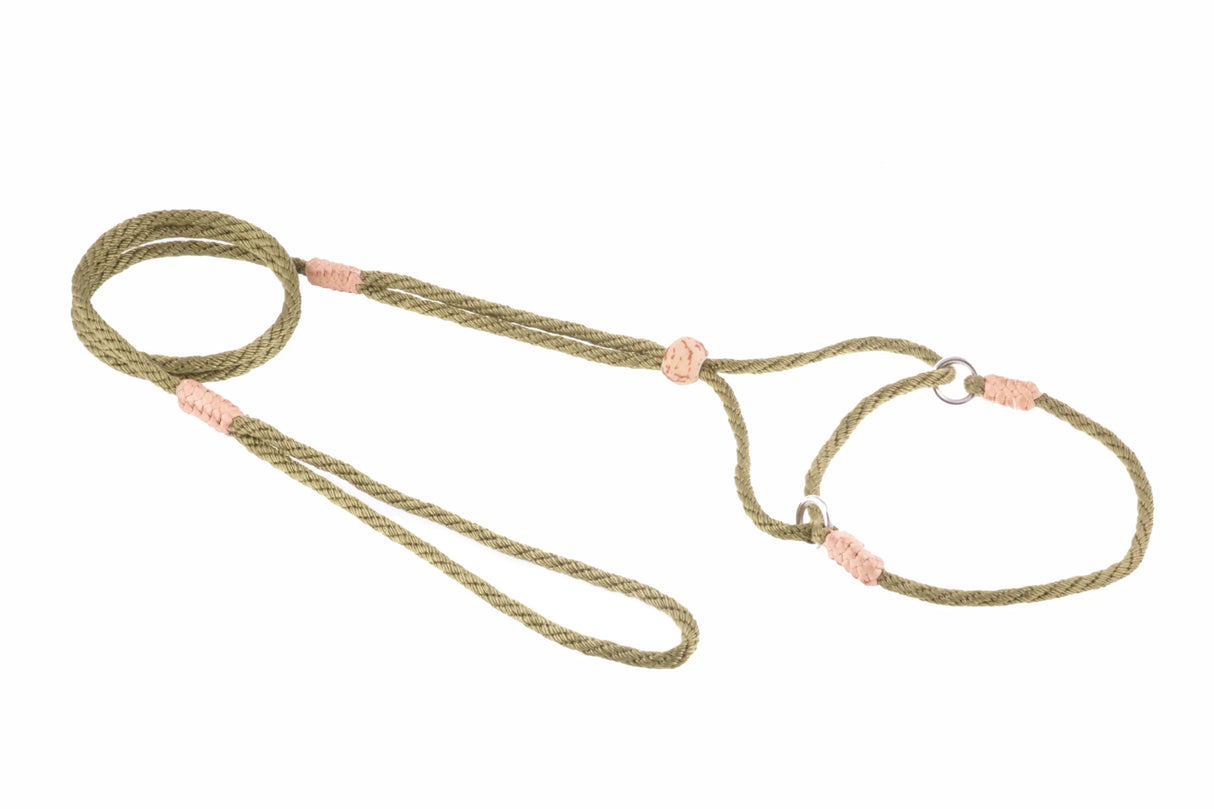 Nylon Martingale Leads (8in x 1/8in or 4mm) | Dog Leashes | pethousekh