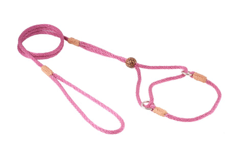 Nylon Martingale Leads (8in x 1/8in or 4mm) | Dog Leashes | pethousekh
