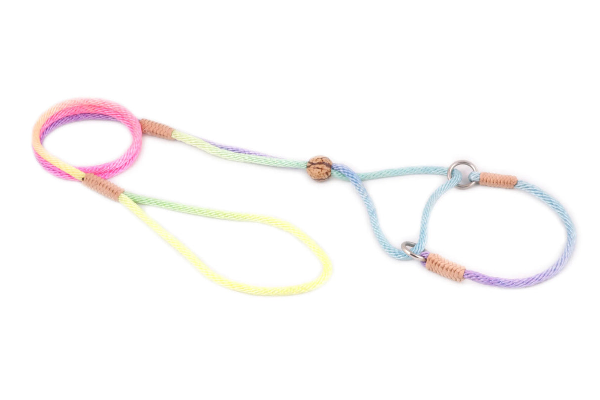 Nylon Martingale Leads (8in x 1/8in or 4mm) | Dog Leashes | pethousekh