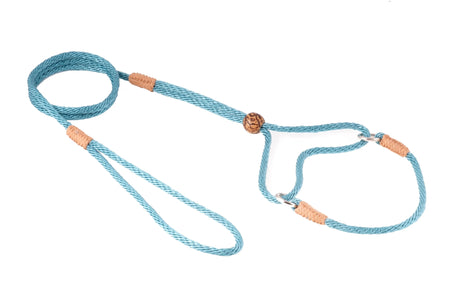 Nylon Martingale Leads (8in x 1/8in or 4mm) | Dog Leashes | pethousekh