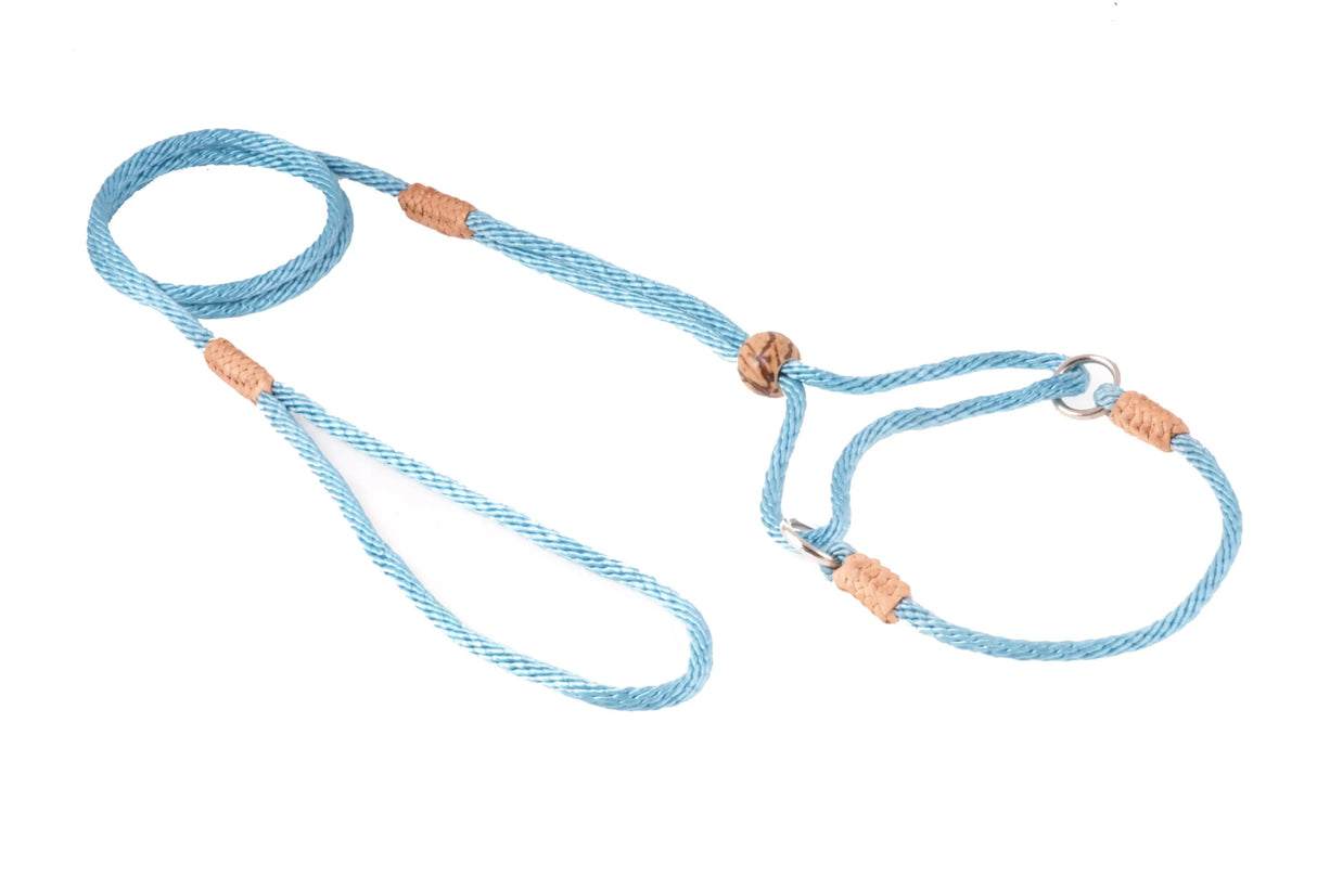 Nylon Martingale Leads (8in x 1/8in or 4mm) | Dog Leashes | pethousekh