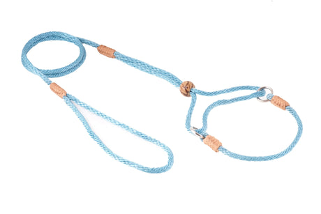 Nylon Martingale Leads (8in x 1/8in or 4mm) | Dog Leashes | pethousekh