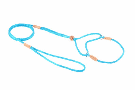 Nylon Martingale Leads (8in x 1/8in or 4mm) | Dog Leashes | pethousekh