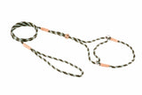 Nylon Martingale Leads (8in x 1/8in or 4mm) | Dog Leashes | pethousekh