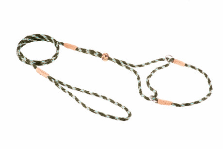 Nylon Martingale Leads (8in x 1/8in or 4mm) | Dog Leashes | pethousekh
