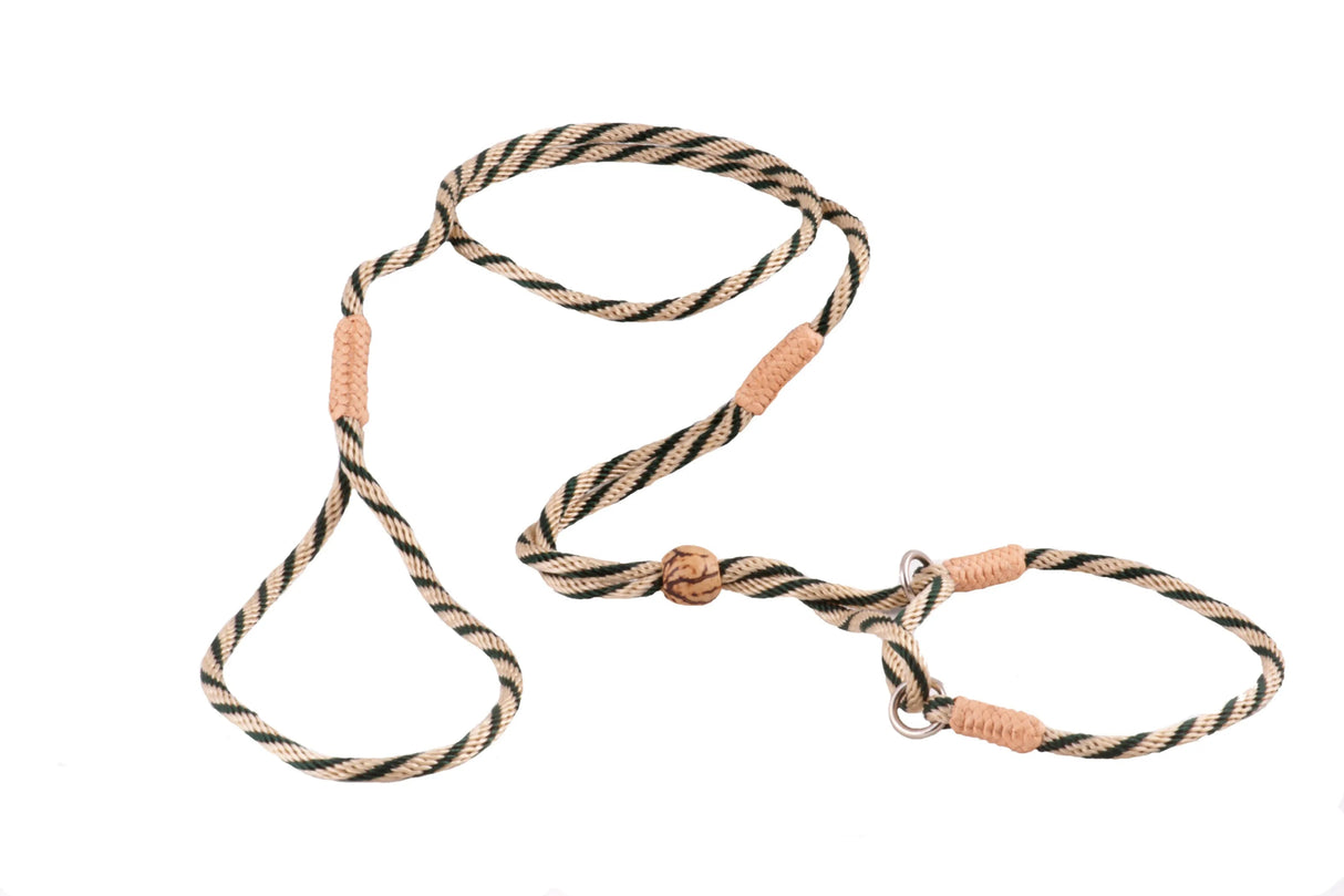 Nylon Martingale Leads (8in x 1/8in or 4mm) | Dog Leashes | pethousekh