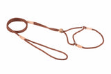 Nylon Martingale Leads (8in x 1/8in or 4mm) | Dog Leashes | pethousekh