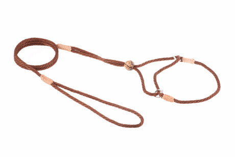 Nylon Martingale Leads (8in x 1/8in or 4mm) | Dog Leashes | pethousekh