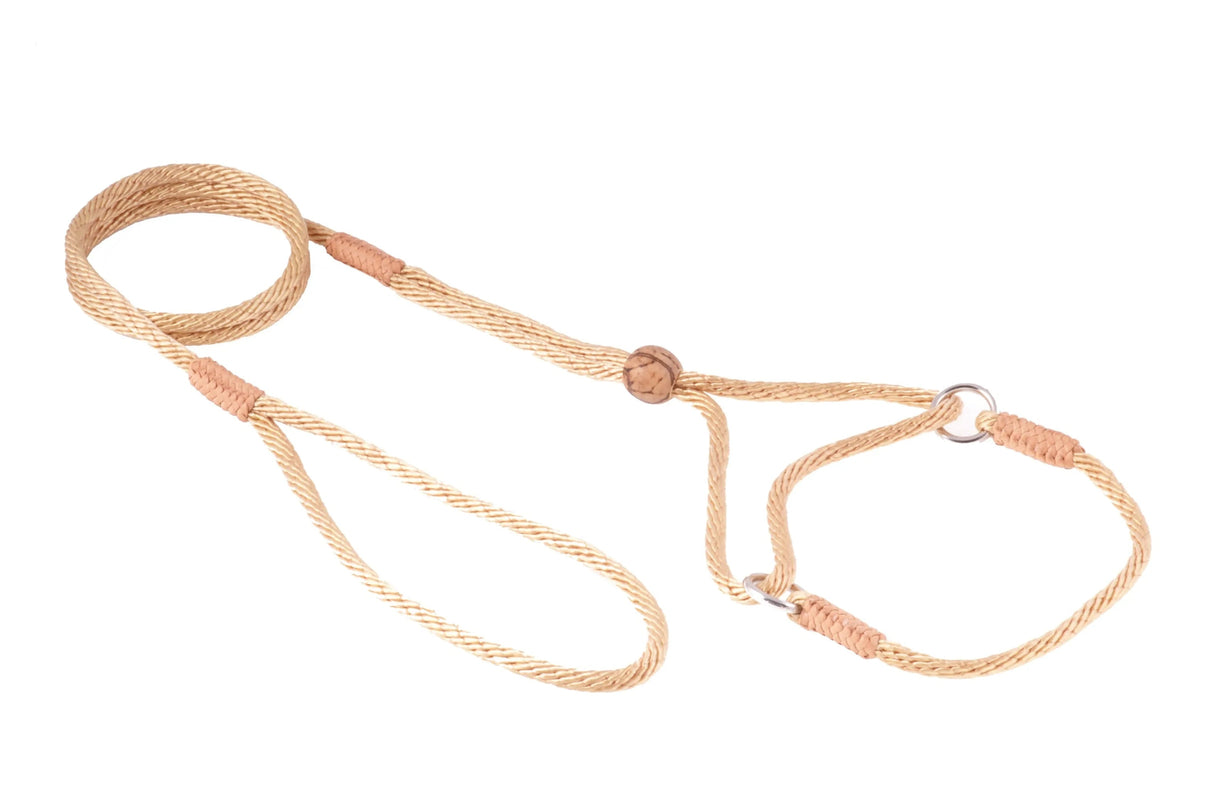 Nylon Martingale Leads (8in x 1/8in or 4mm) | Dog Leashes | pethousekh