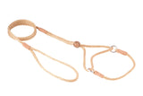 Nylon Martingale Leads (8in x 1/8in or 4mm) | Dog Leashes | pethousekh