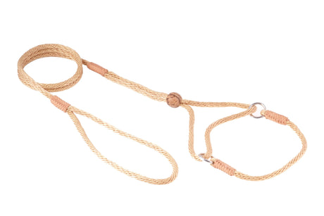 Nylon Martingale Leads (8in x 1/8in or 4mm) | Dog Leashes | pethousekh