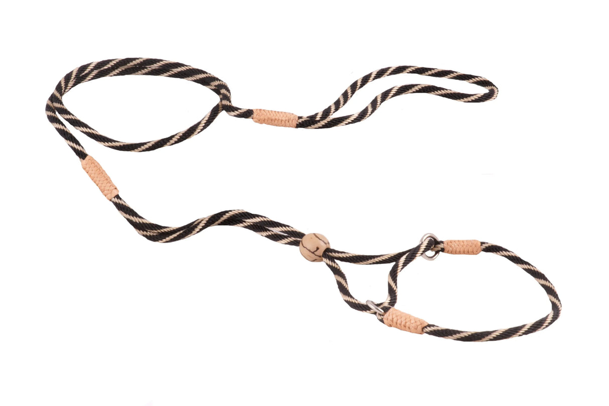 Nylon Martingale Leads (8in x 1/8in or 4mm) | Dog Leashes | pethousekh