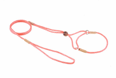 Nylon Martingale Leads (8in x 1/8in or 4mm) | Dog Leashes | pethousekh