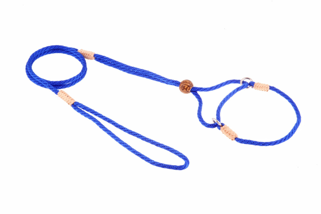 Nylon Martingale Leads (8in x 1/8in or 4mm) | Dog Leashes | pethousekh