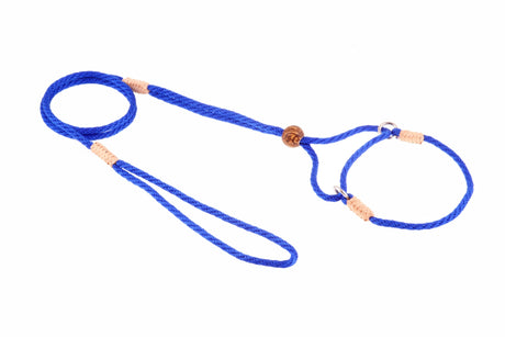 Nylon Martingale Leads (8in x 1/8in or 4mm) | Dog Leashes | pethousekh