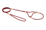Nylon Martingale Leads (8in x 1/8in or 4mm) | Dog Leashes | pethousekh