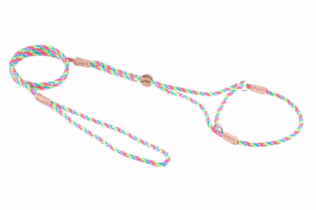 Nylon Martingale Leads (8in x 1/8in or 4mm) | Dog Leashes | pethousekh