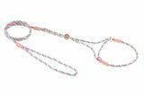 Nylon Martingale Leads (8in x 1/8in or 4mm) | Dog Leashes | pethousekh
