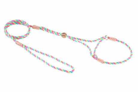 Nylon Martingale Leads (8in x 1/8in or 4mm) | Dog Leashes | pethousekh