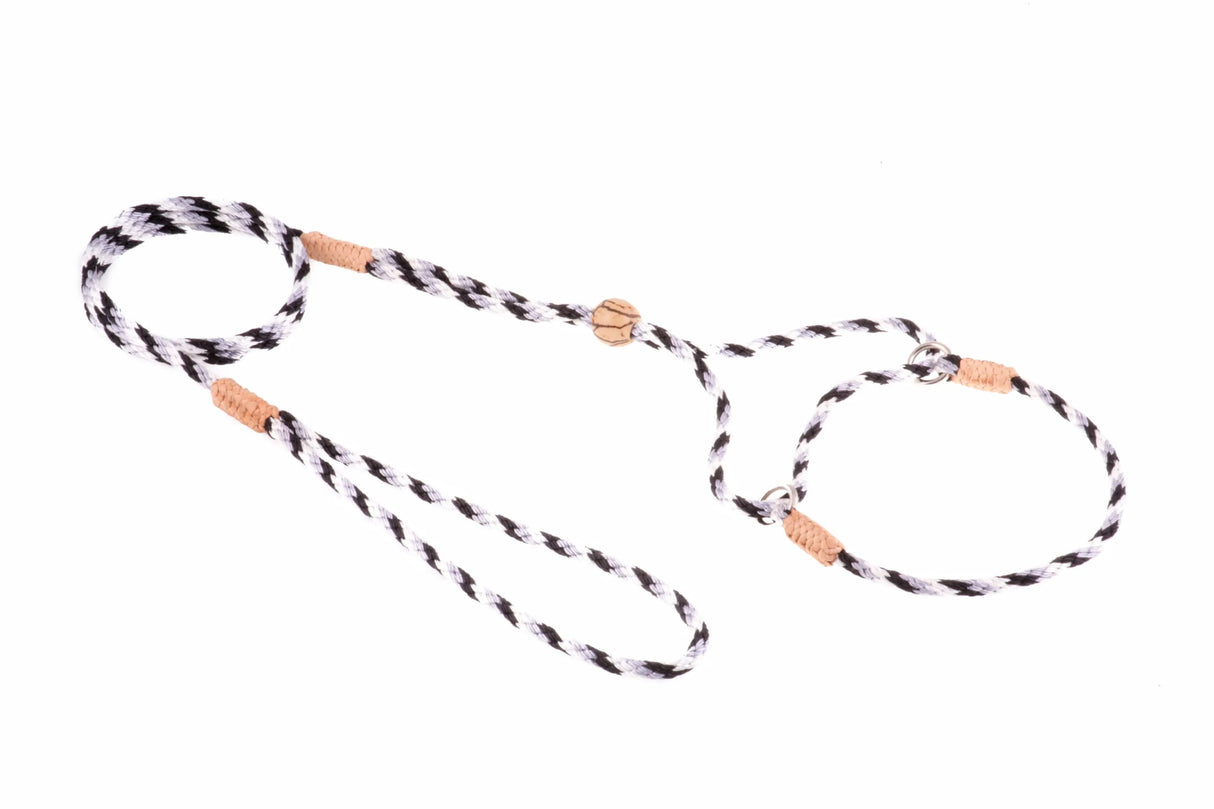 Nylon Martingale Leads (8in x 1/8in or 4mm) | Dog Leashes | pethousekh