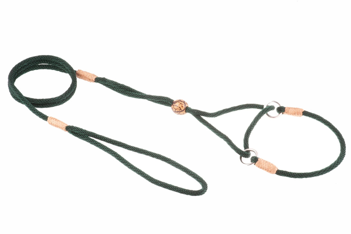 Nylon Martingale Leads (8in x 1/8in or 4mm) | Dog Leashes | pethousekh