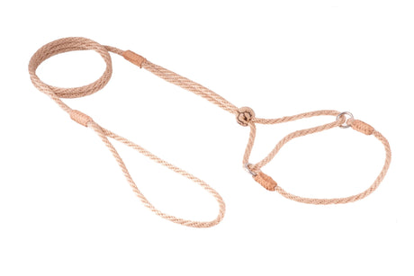 Nylon Martingale Leads (8in x 1/8in or 4mm) | Dog Leashes | pethousekh