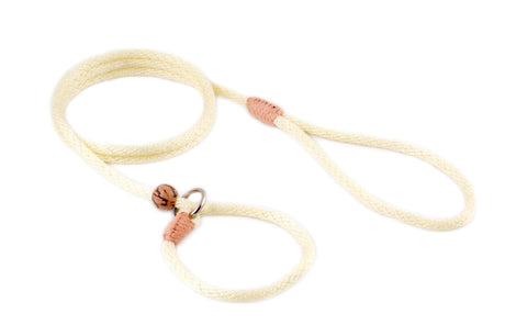 Nylon Slip Lead With Stopper (4 ft x 1/4in or 6mm) | Dog Leashes | pethousekh