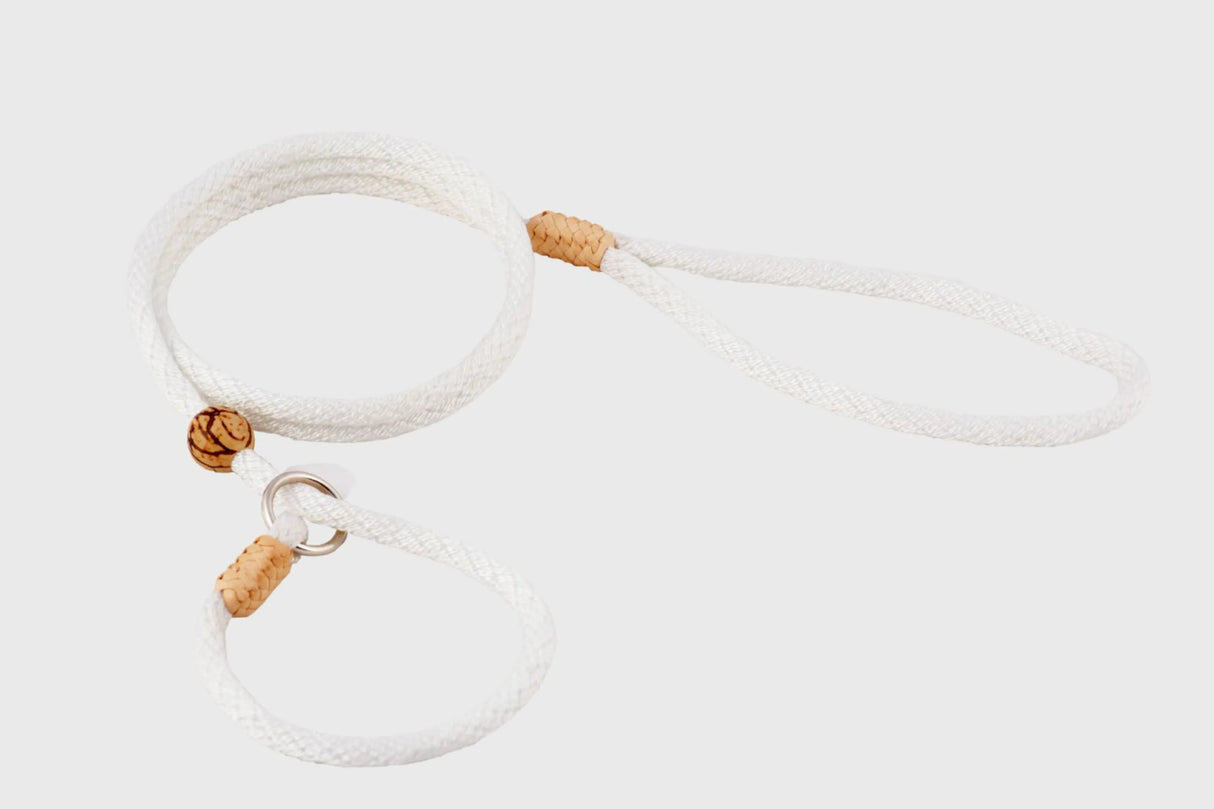 Nylon Slip Lead With Stopper (4 ft x 1/4in or 6mm) | Dog Leashes | pethousekh