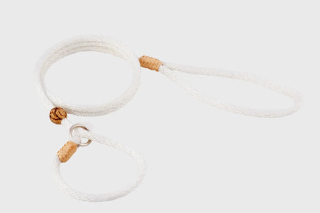 Nylon Slip Lead With Stopper (4 ft x 1/4in or 6mm) | Dog Leashes | pethousekh