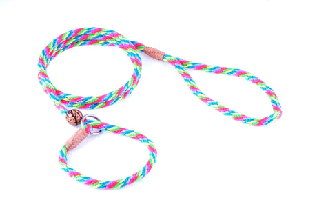 Nylon Slip Lead With Stopper (4 ft x 1/4in or 6mm) | Dog Leashes | pethousekh