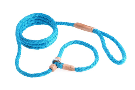 Nylon Slip Leash With 2 Stoppers (6ft x 5/16in or 8mm) | Dog Leashes | pethousekh