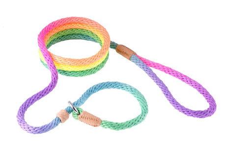 Nylon Slip Leash With 2 Stoppers (6ft x 5/16in or 8mm) | Dog Leashes | pethousekh