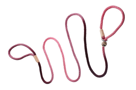 Nylon Slip Leash With 2 Stoppers (6ft x 5/16in or 8mm) | Dog Leashes | pethousekh
