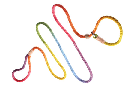Nylon Slip Leash With 2 Stoppers (6ft x 5/16in or 8mm) | Dog Leashes | pethousekh