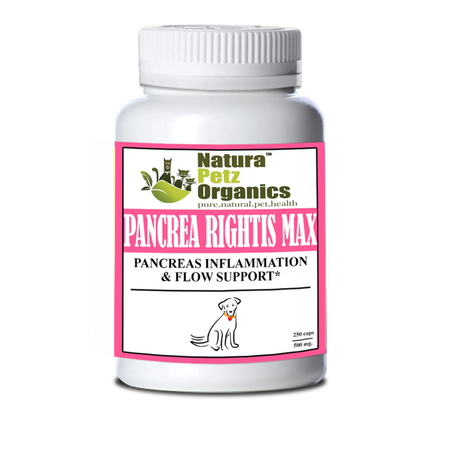 Pancrea Rightis Max Support* Capsules Pancreas Inflammation & Flow Support Dogs Cats* | Animal Vitamins & Supplements | pethousekh