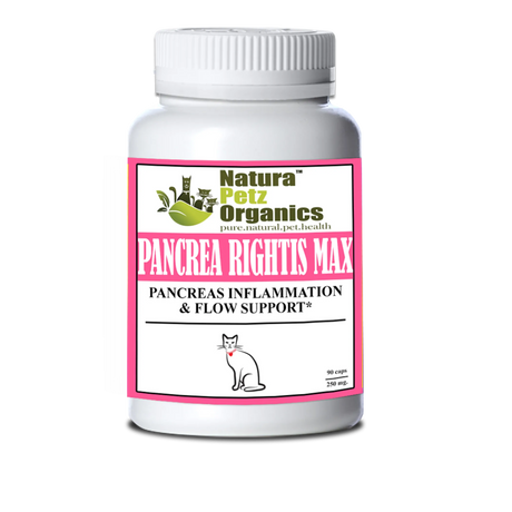 Pancrea Rightis Max Support* Capsules Pancreas Inflammation & Flow Support Dogs Cats* | Animal Vitamins & Supplements | pethousekh