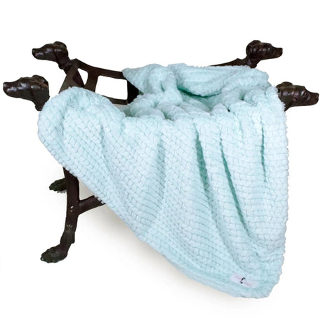 Paris Dog Blanket | Blankets | pethousekh