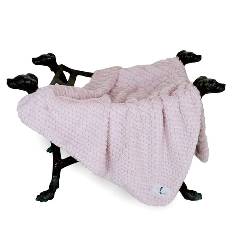 Paris Dog Blanket | Blankets | pethousekh