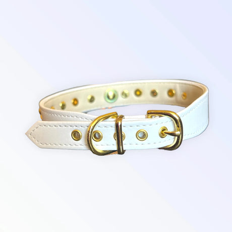 Popstar Studded Collar | Dog Collars | pethousekh