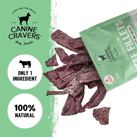 Premium Beef Fillets | Dog Treats | pethousekh